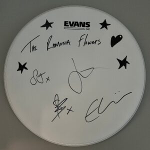 Ramona Flowers - Stars and Heart Drumhead