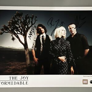 The Joy Formidable - Photo